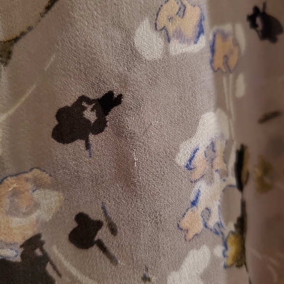 CABI 5204 Matinee Sheer Button Down Blouse S - Picture 6 of 8